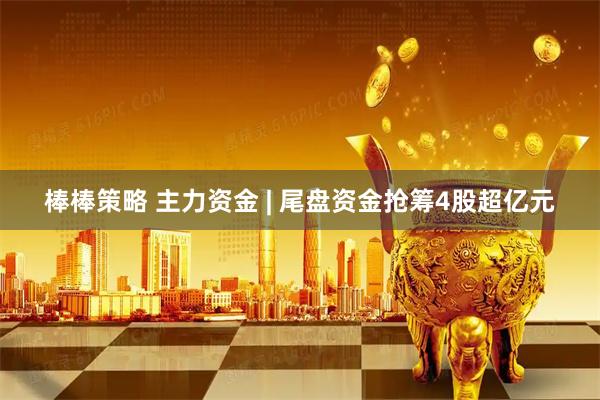 棒棒策略 主力资金 | 尾盘资金抢筹4股超亿元