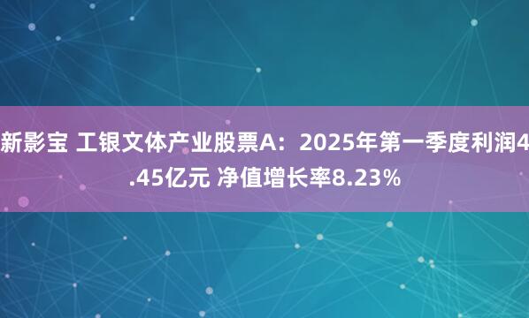 新影宝 工银文体产业股票A：2025年第一季度利润4.45亿元 净值增长率8.23%