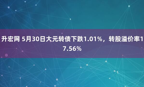 升宏网 5月30日大元转债下跌1.01%，转股溢价率17.56%